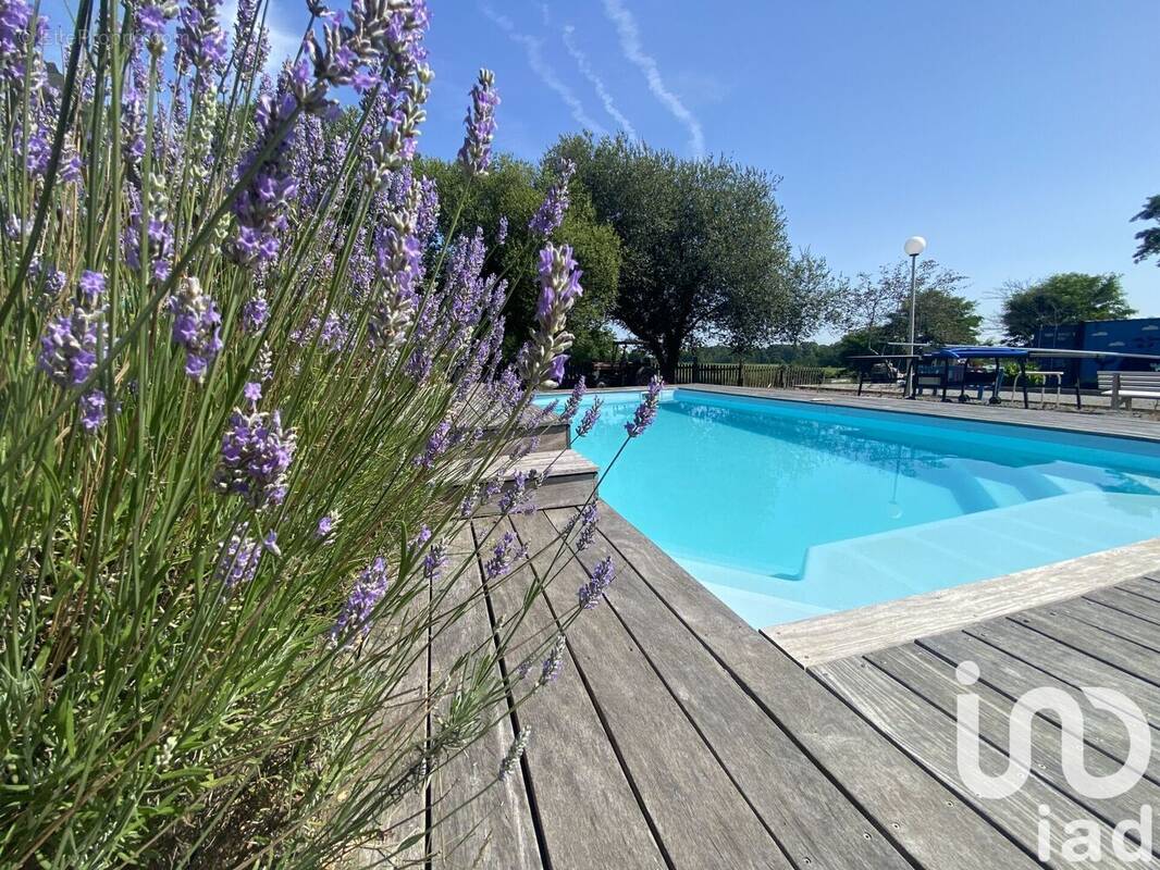 Photo 1 - Maison à POUILLON