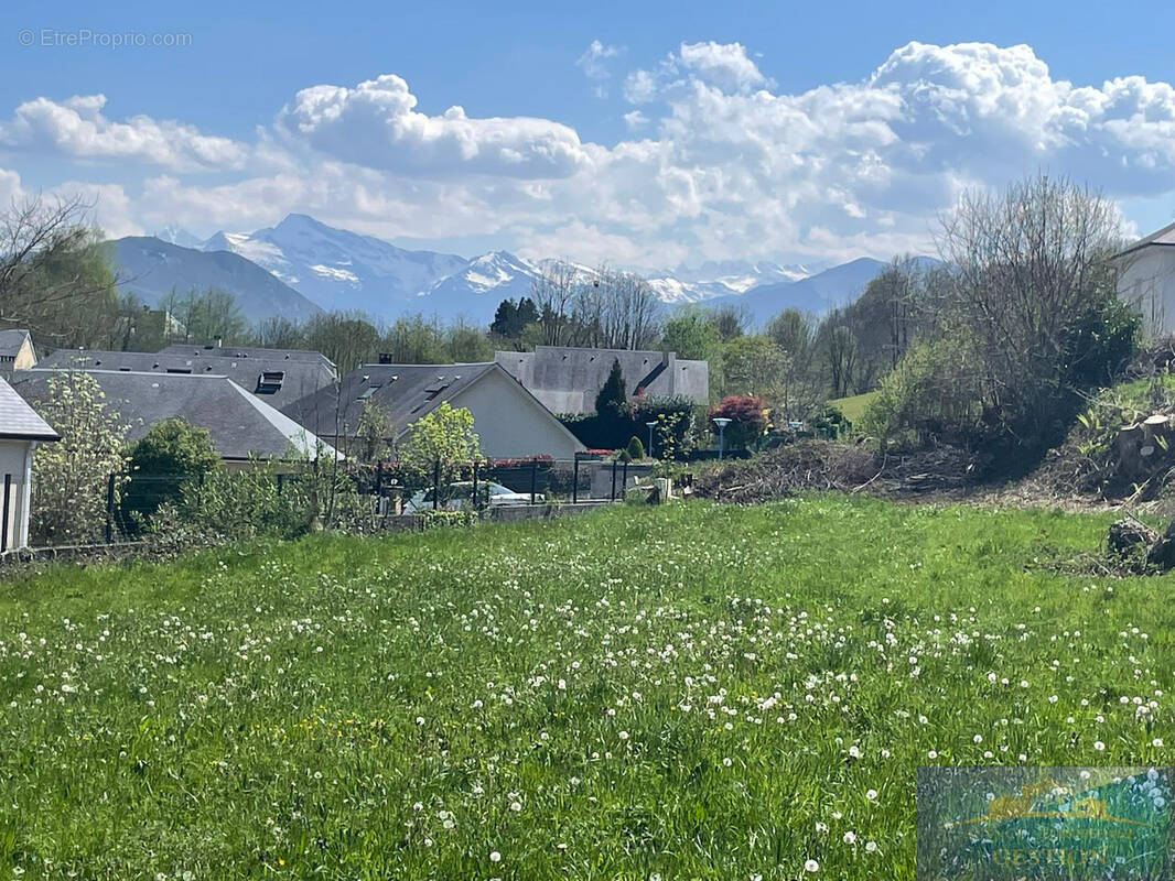 Terrain à POUEYFERRE