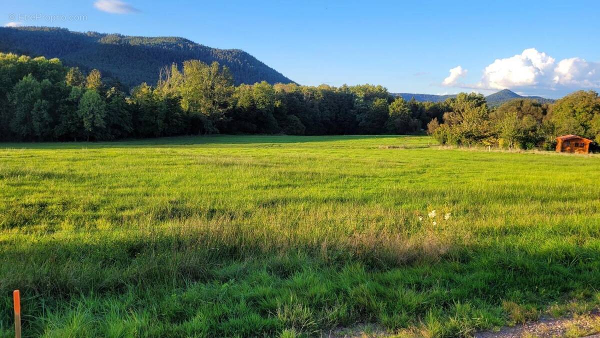 Terrain à SAINT-DIE-DES-VOSGES