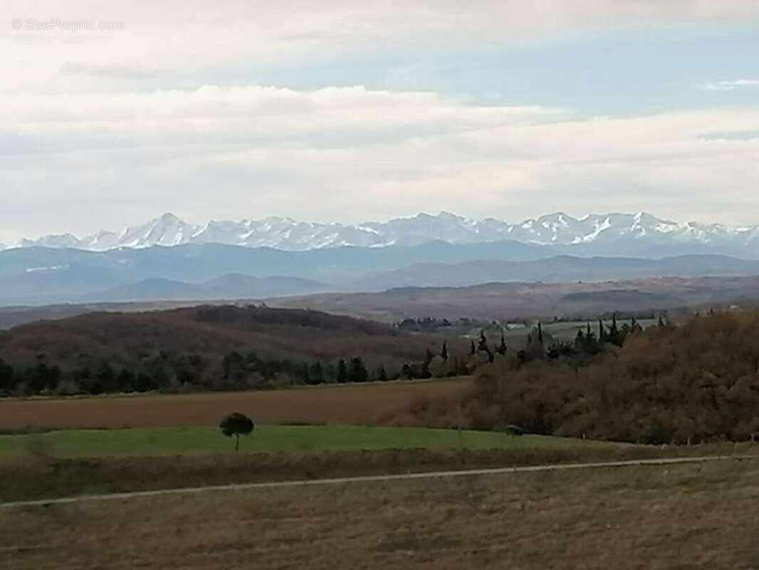 Photo 6 - Maison à LAURAC