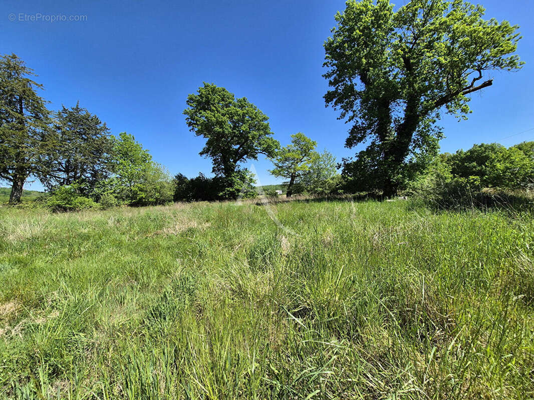 Maison à LABASTIDE-D&#039;ARMAGNAC