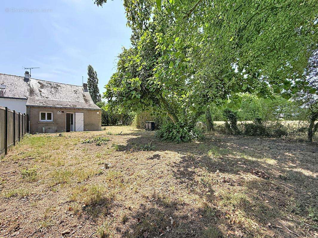 Saint molf - campagne - photo 7