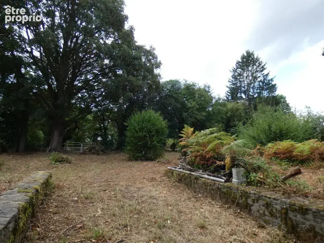 Terrain constructible 2613m2 à Pacé (9km d'Alençon) - photo 2