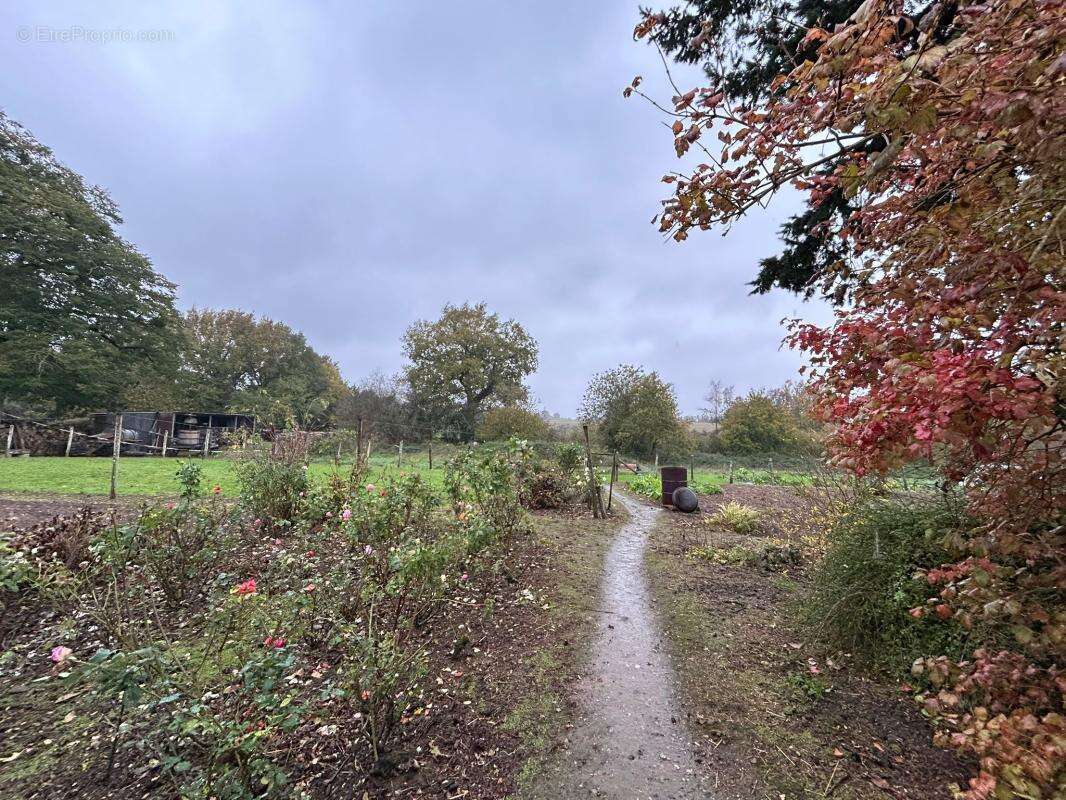 Maison à SAINT-COUTANT