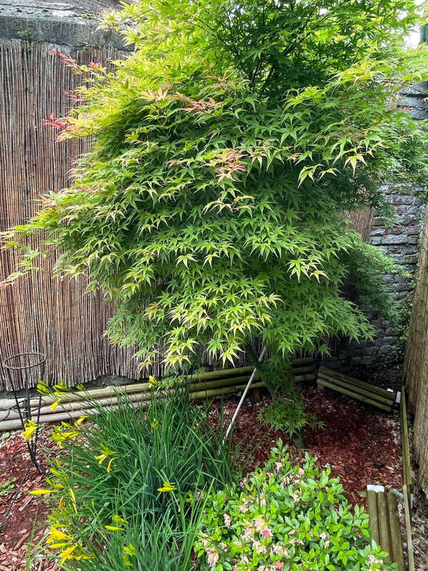 Maison à VALENCIENNES