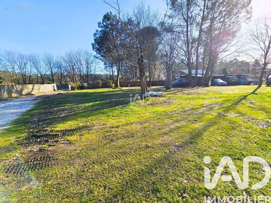 Photo 4 - Maison à CARCANS