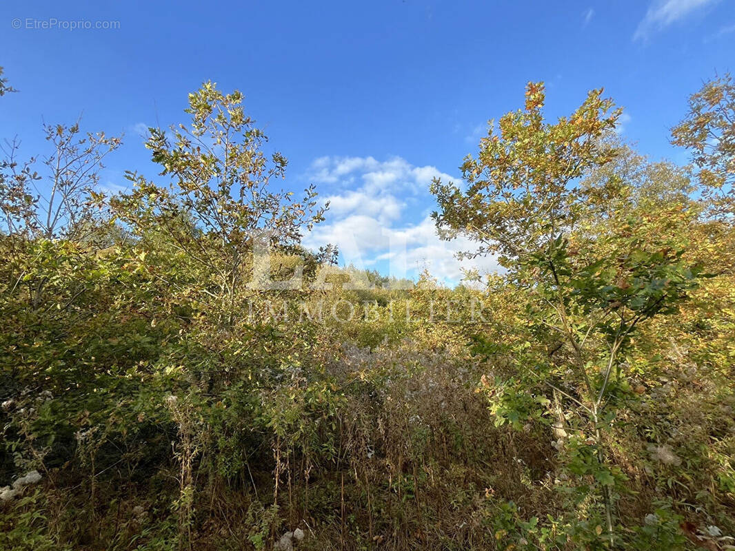 Terrain à SAINT-AQUILIN-DE-CORBION