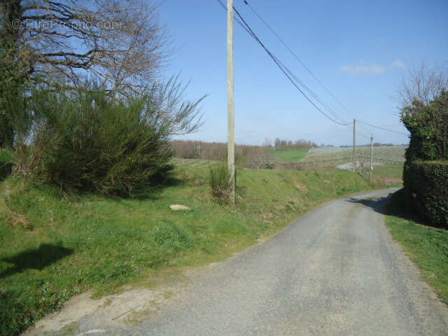 Grande parcelle à bâtir avec belles vues - photo 8