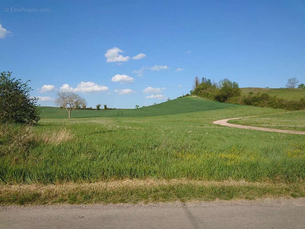 Terrain à LANGY