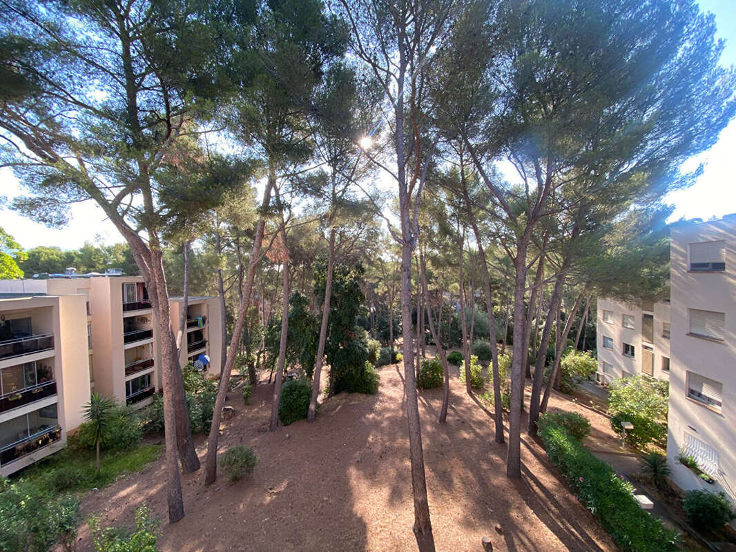 La seyne sur mer appartement  4 pièce(s) 80m²  avec cave - photo 2