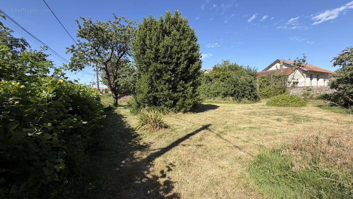Terrain à AZAY-LE-BRULE