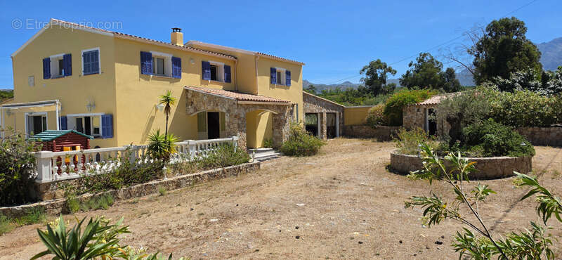 CALENZANA Maison à vendre 305 m² terrain de 5600 m² - Piscine - vue sur Calvi - photo 2