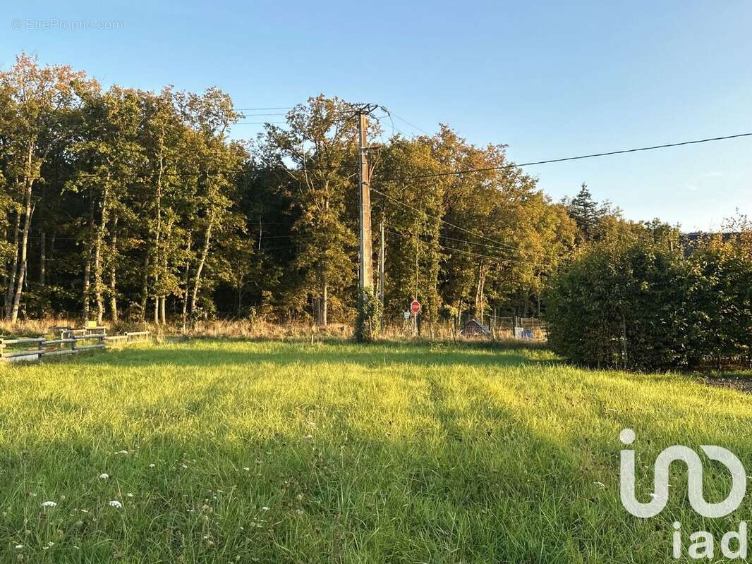 Photo 3 - Terrain à CHAUMONT-SUR-LOIRE