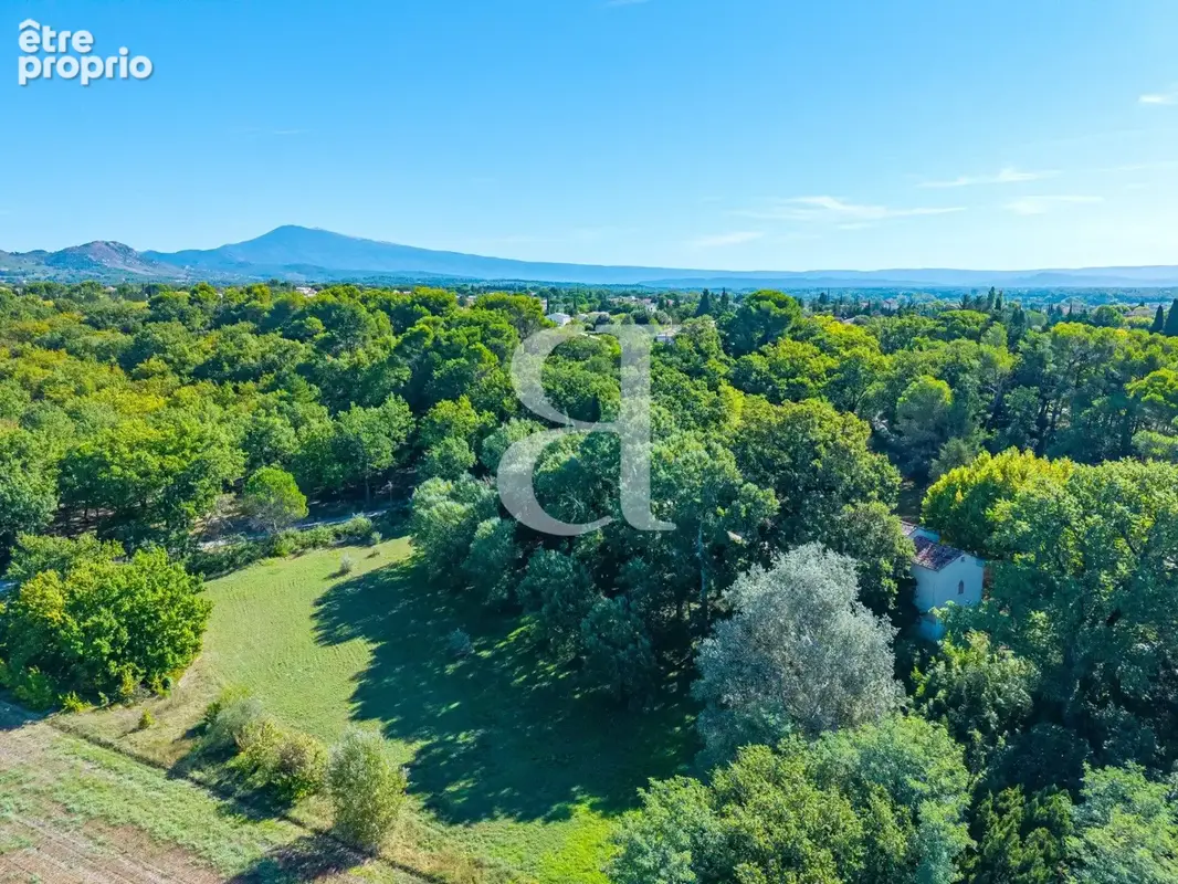 Maison 7 pièces 255 m² à vendre à Beaumes-De-Venise (84190) - photo 6