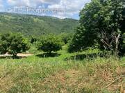 Terrain à SAINTE-LUCE