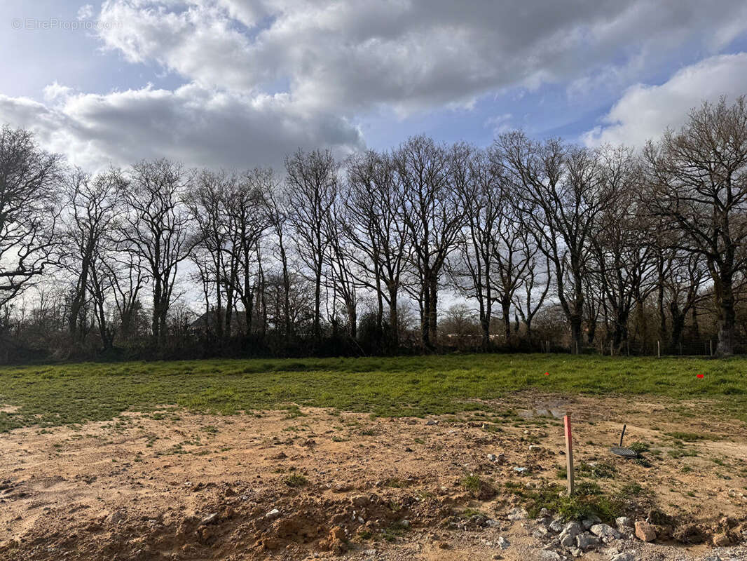 Terrain à BEAULIEU-SOUS-LA-ROCHE