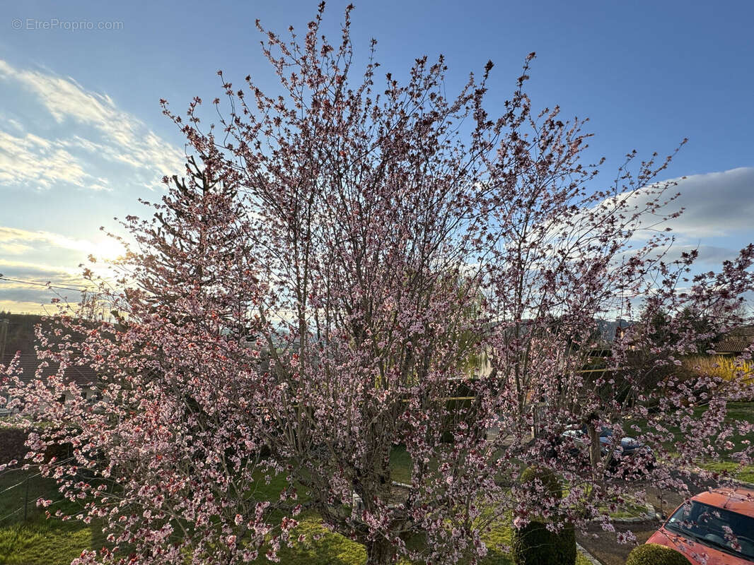 Photo 6 - Maison à COURS-LA-VILLE