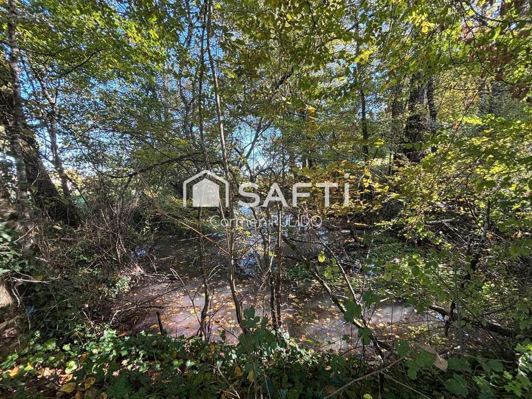 Photo 4 - Terrain à JUILLAC