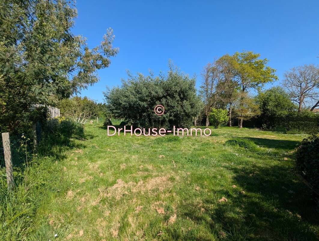 Terrain à L&#039;ILE-D&#039;OLONNE