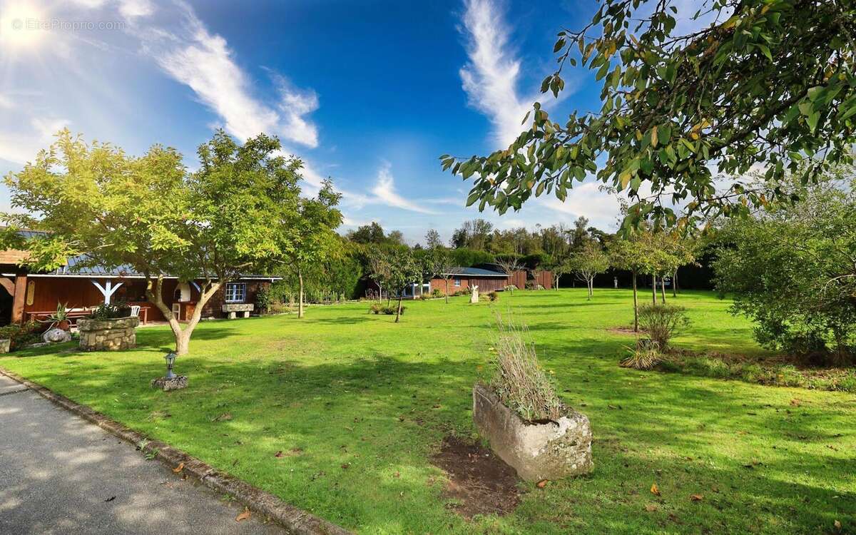 Photo 2 - Maison à HEURTEAUVILLE