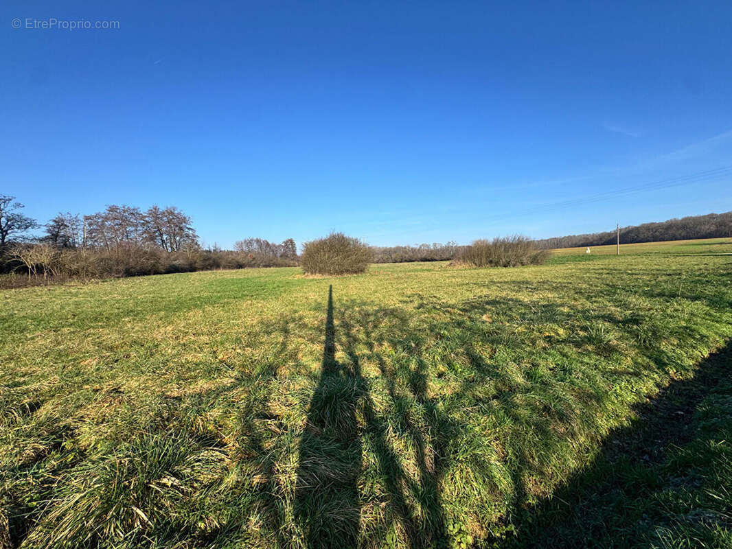 Terrain à BROYE-LES-LOUPS-ET-VERFONTAINE