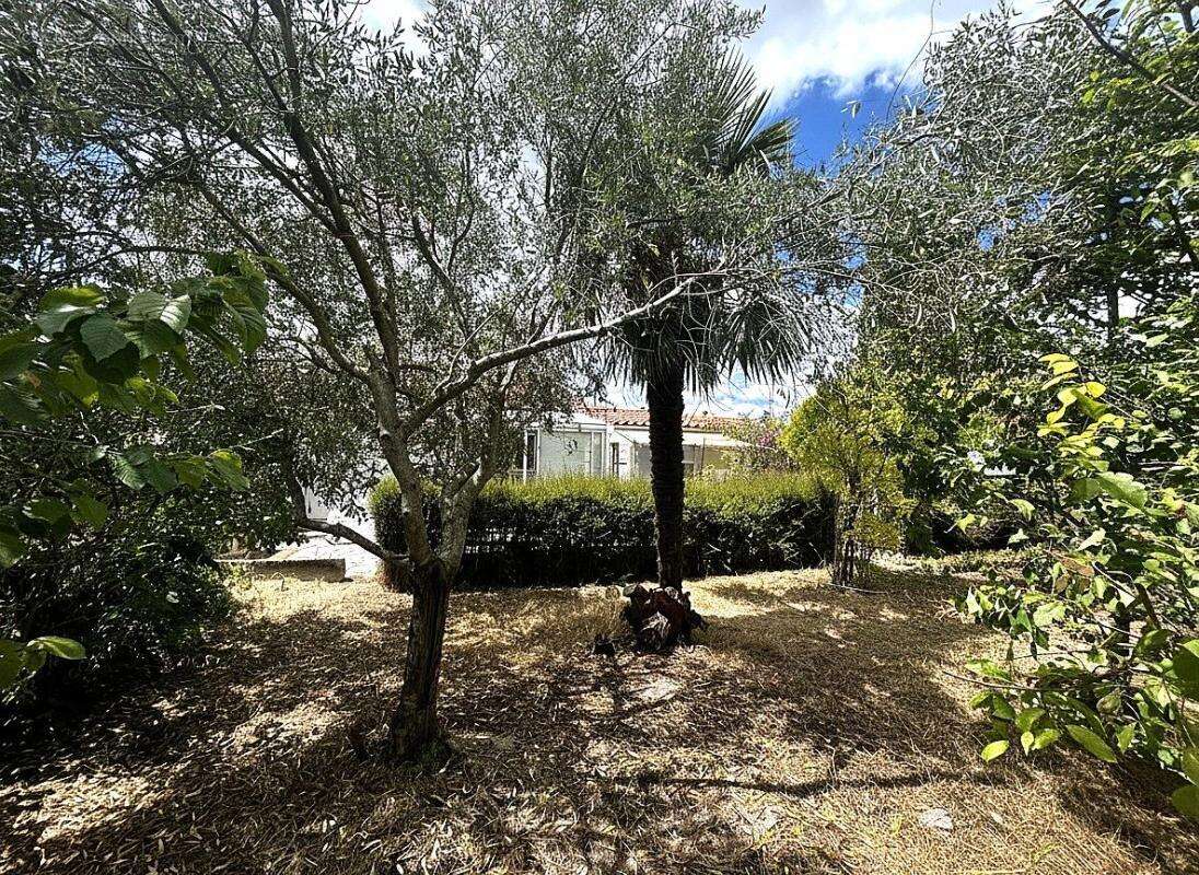 MARANS. Maison de plain pied à rafraichir avec garage, jardin et puits - photo 2