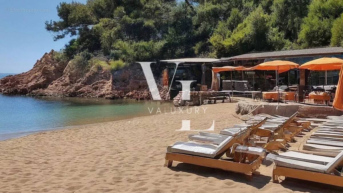 Commerce à SAINTE-MAXIME