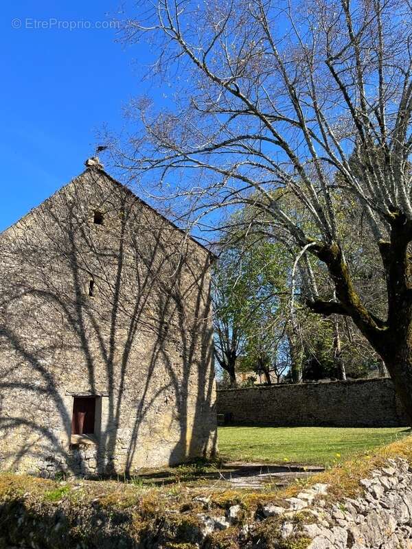 IMG_8393 2.jpeg - Maison à SAINT-AVIT-SENIEUR