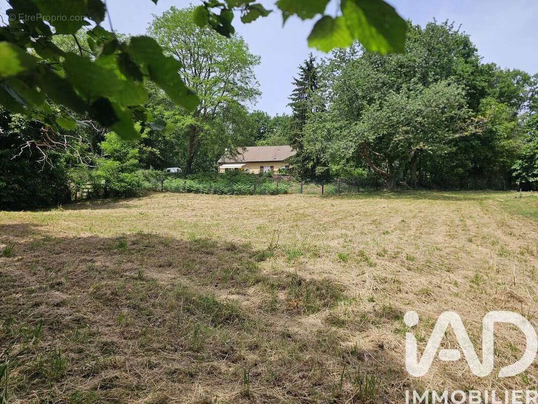 Terrain 1354 m² à Montfort-Le-Gesnois  - photo 2
