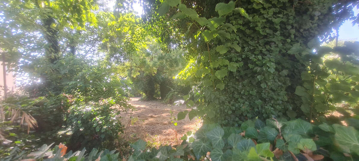 Terrain à SANILHAC-SAGRIES