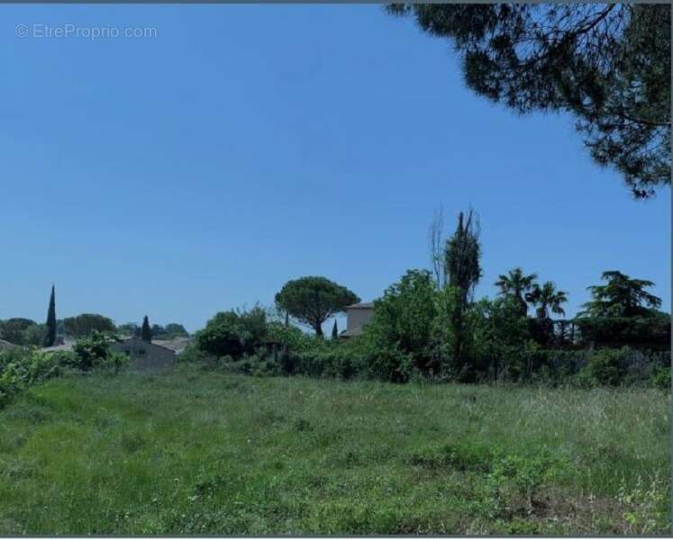 Terrain à PELISSANNE