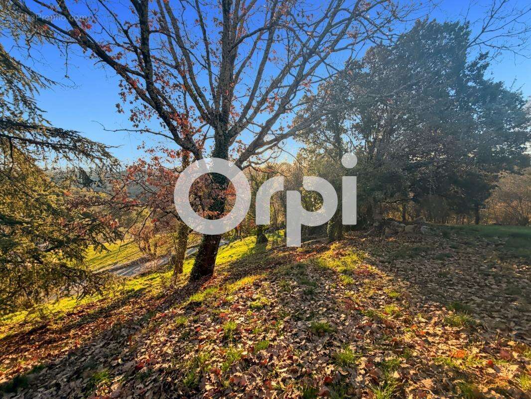 Terrain  constructible à vendre de 2 488 m² - photo 6