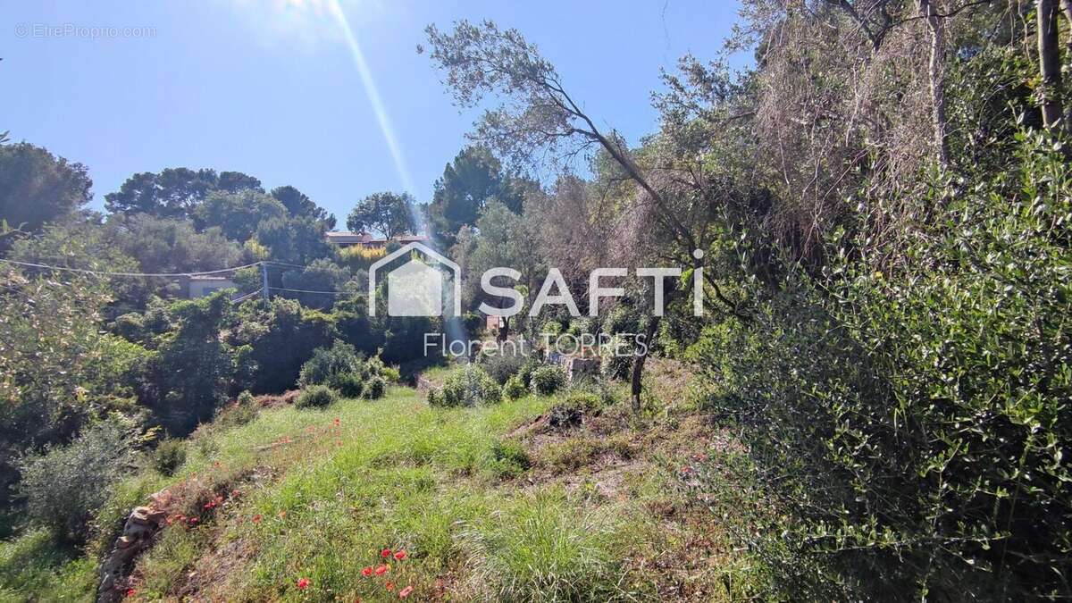 Photo 3 - Terrain à OLLIOULES