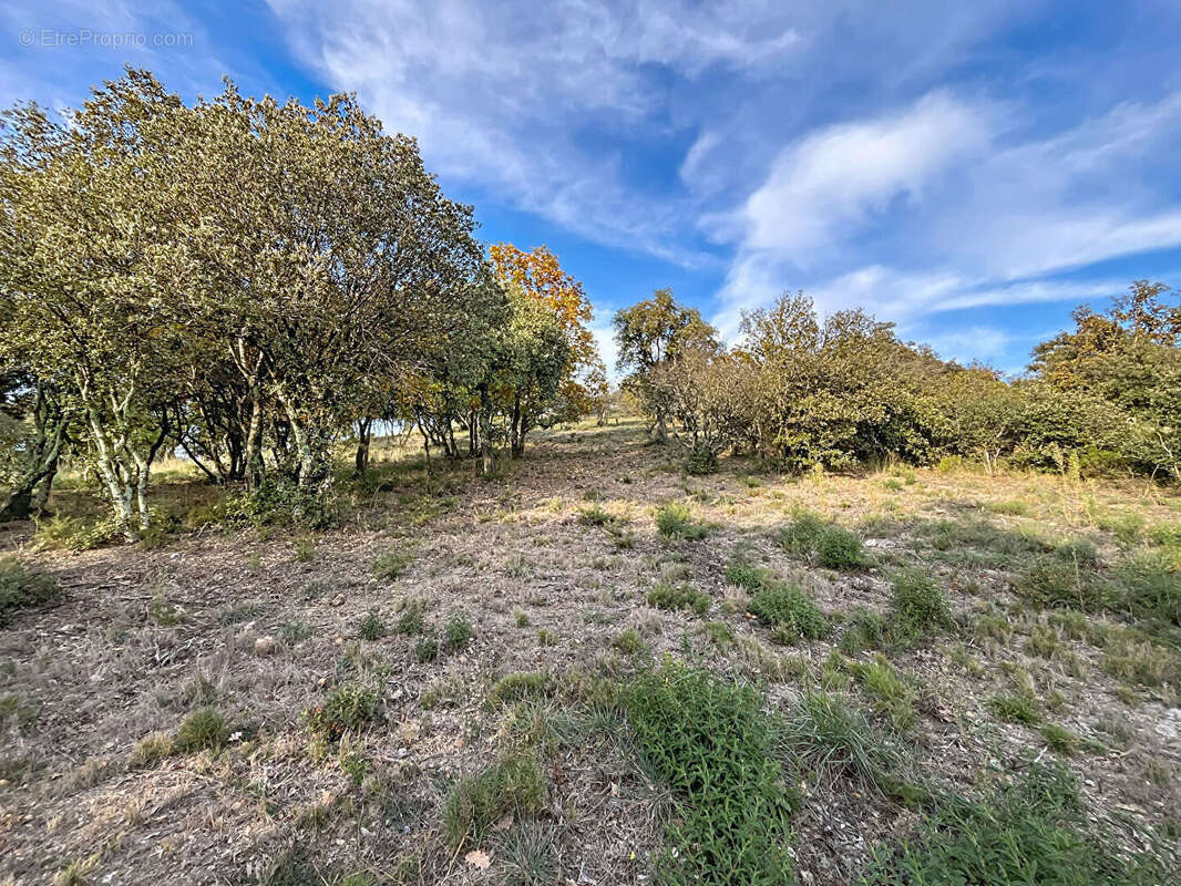 Terrain à CAIXAS