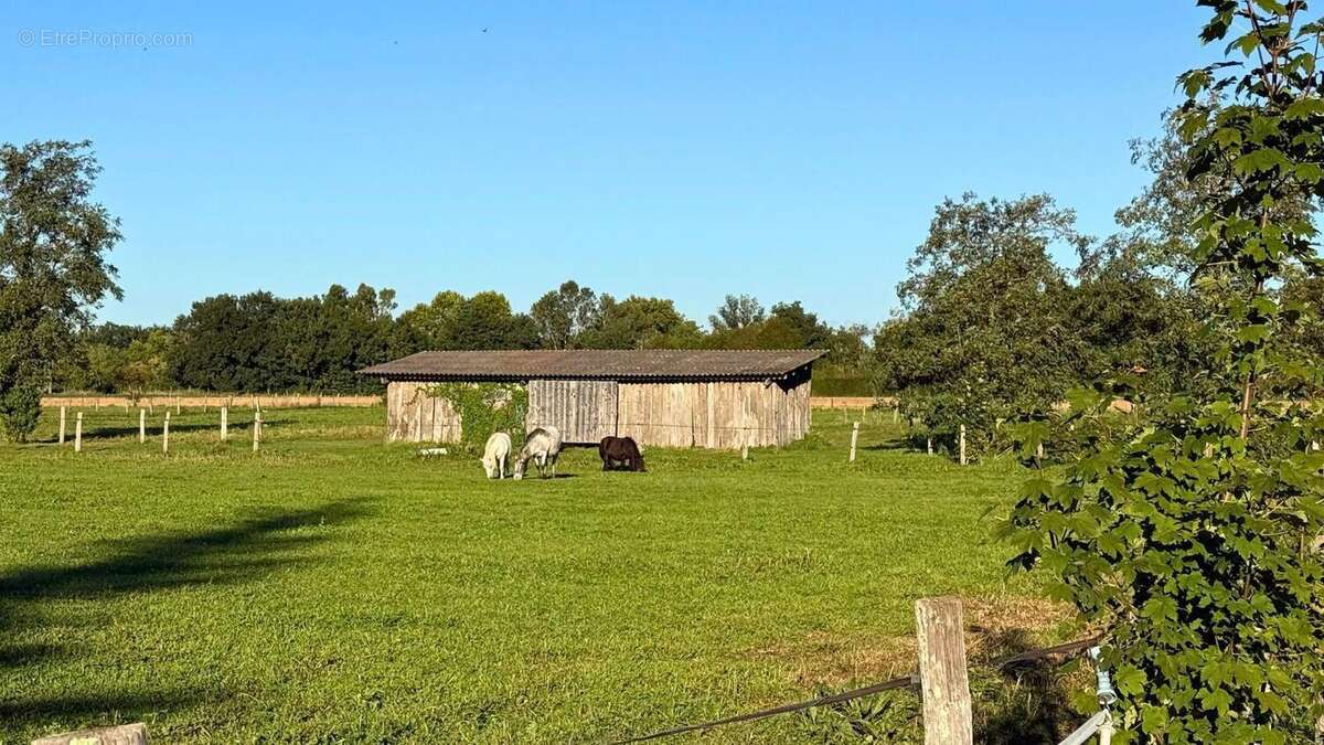 Photo 9 - Maison à GAILLAC