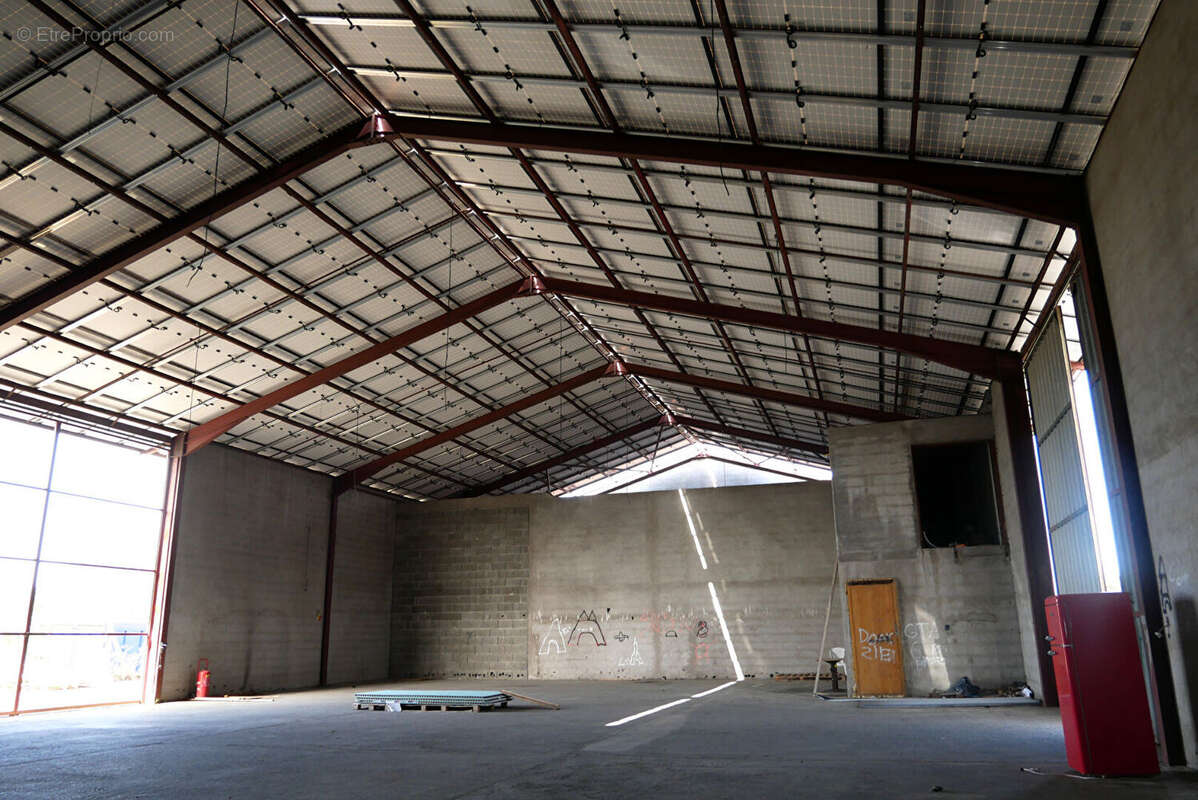 Locaux professionnels 844 m² - Lons - photo 2