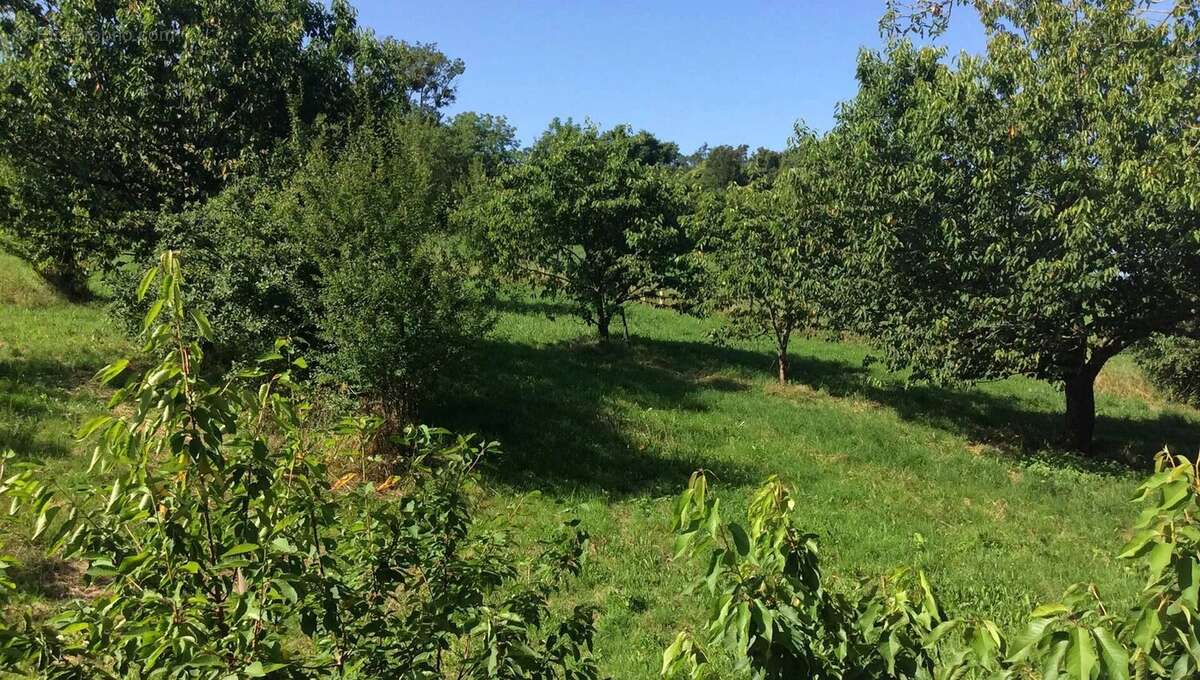 Maison à LOHITZUN-OYHERCQ