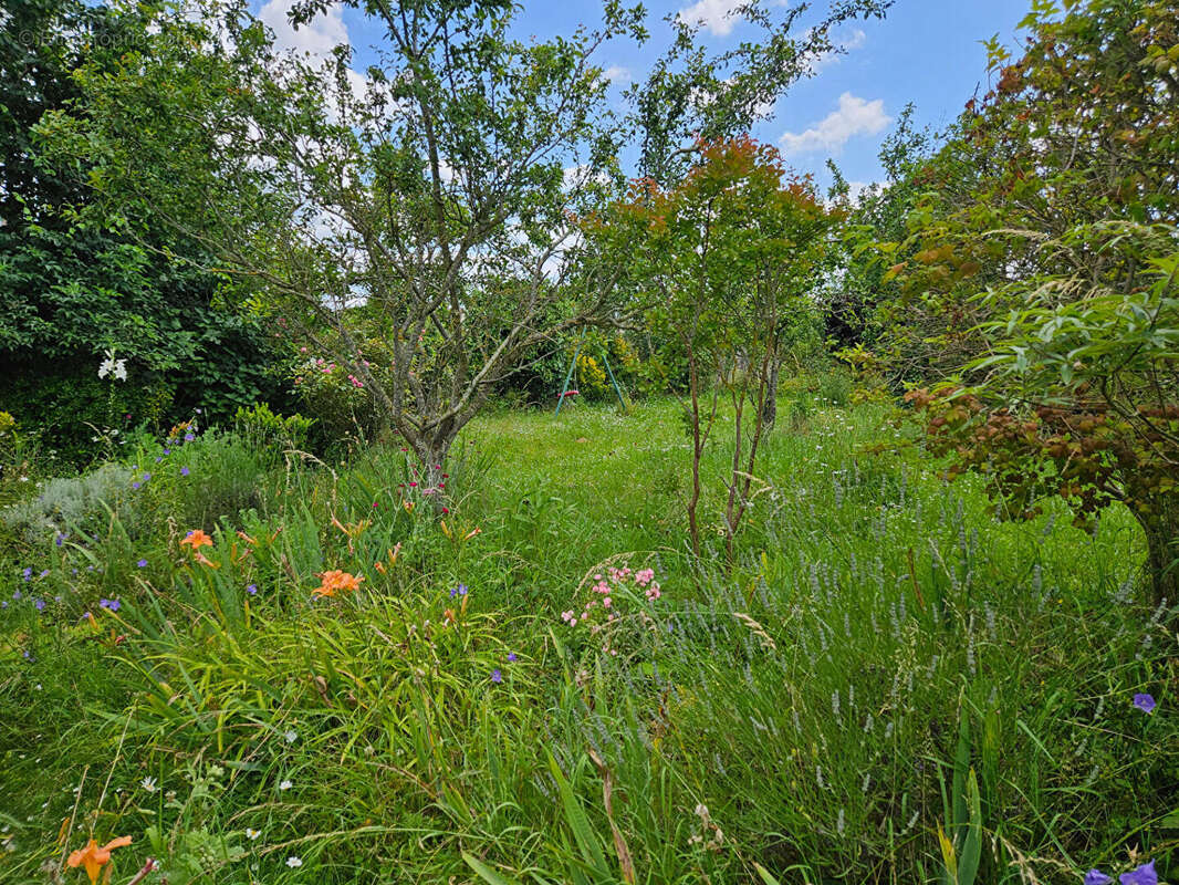 Maison à MONTAINVILLE