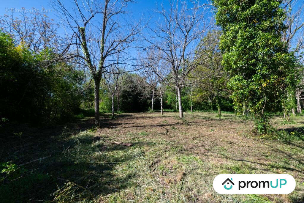 Terrain à REANS