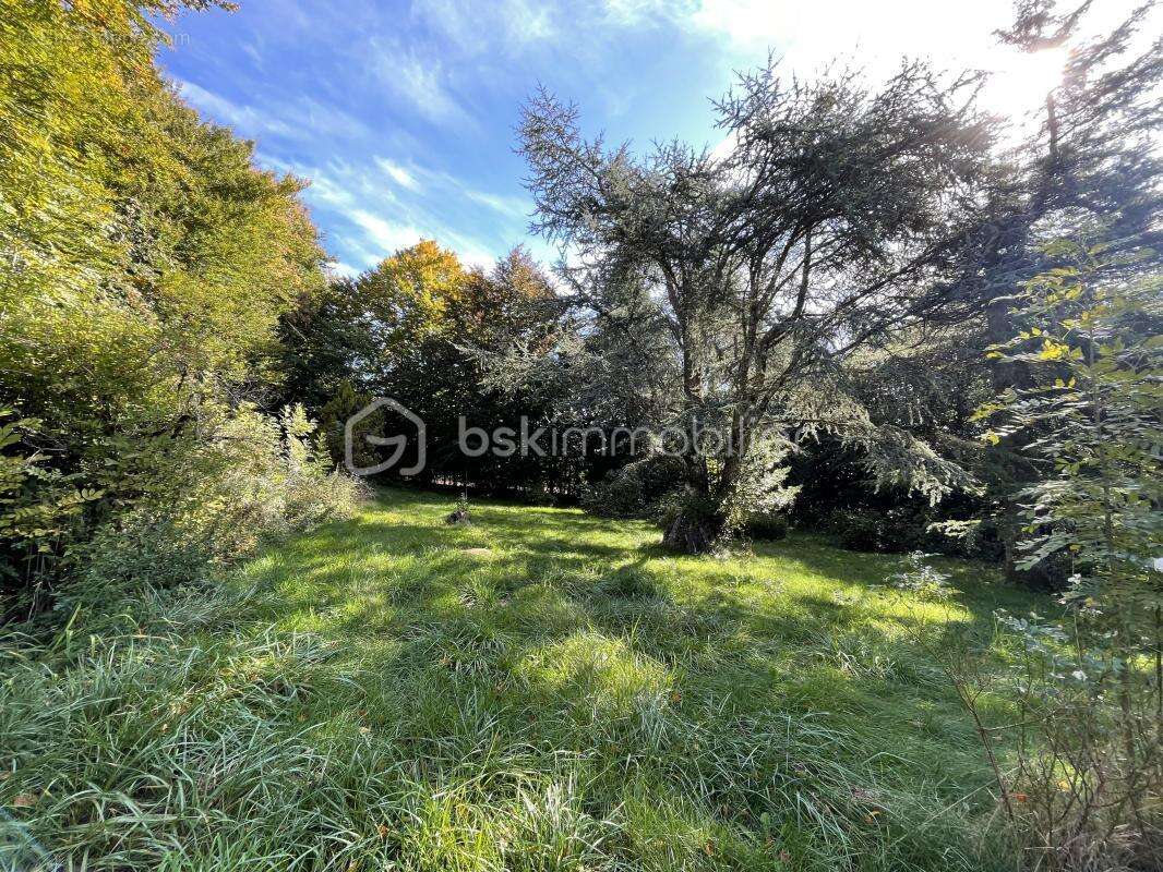 Maison à MURAT-SUR-VEBRE