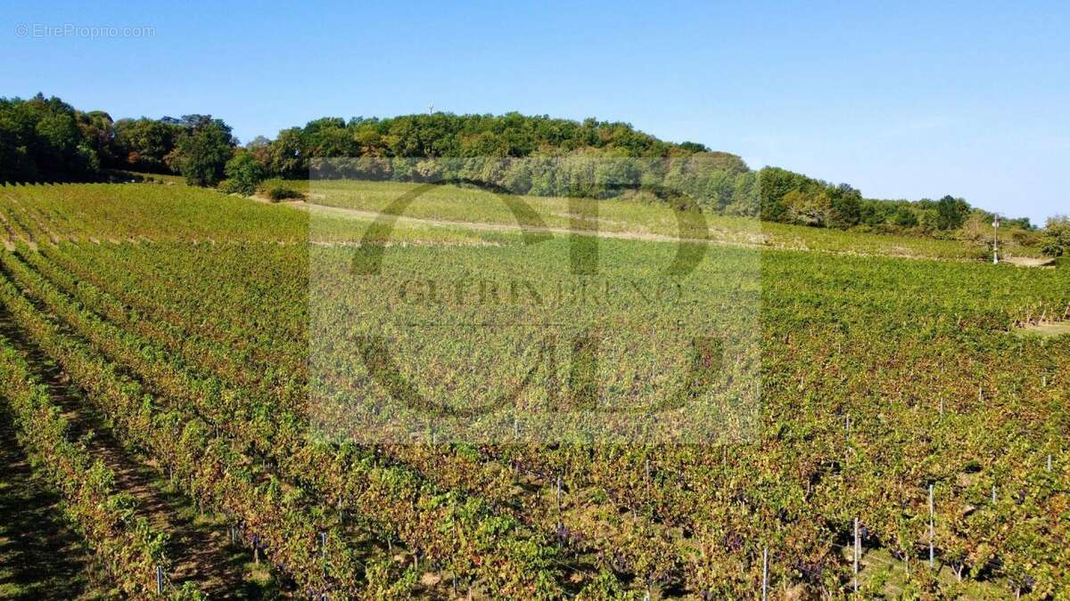 Maison à SAINTE-FOY-LA-GRANDE