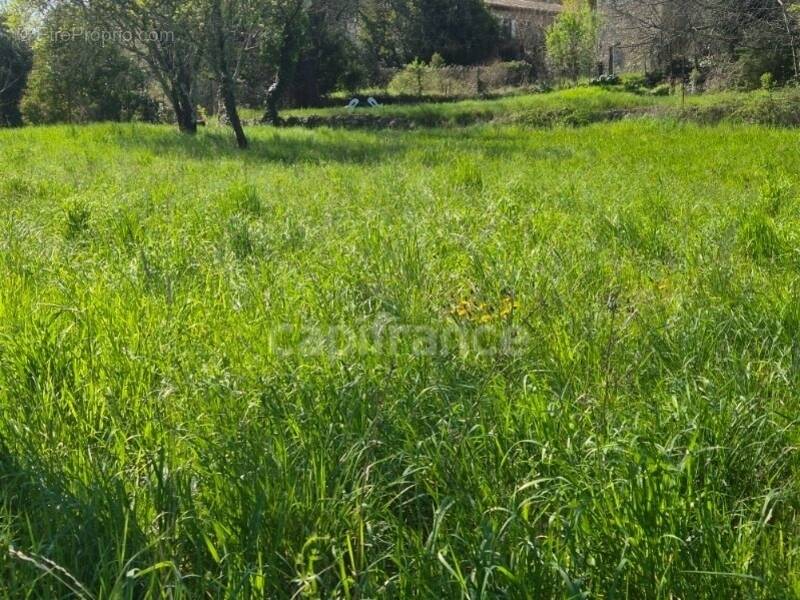 Terrain à CASSAGNOLES