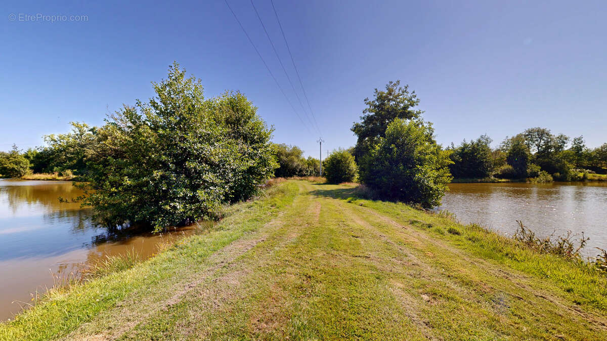 Propriété d'exception avec Gites - 403 m2 sur terrain de 8,5 hectares avec dépendances et étangs. - photo 7