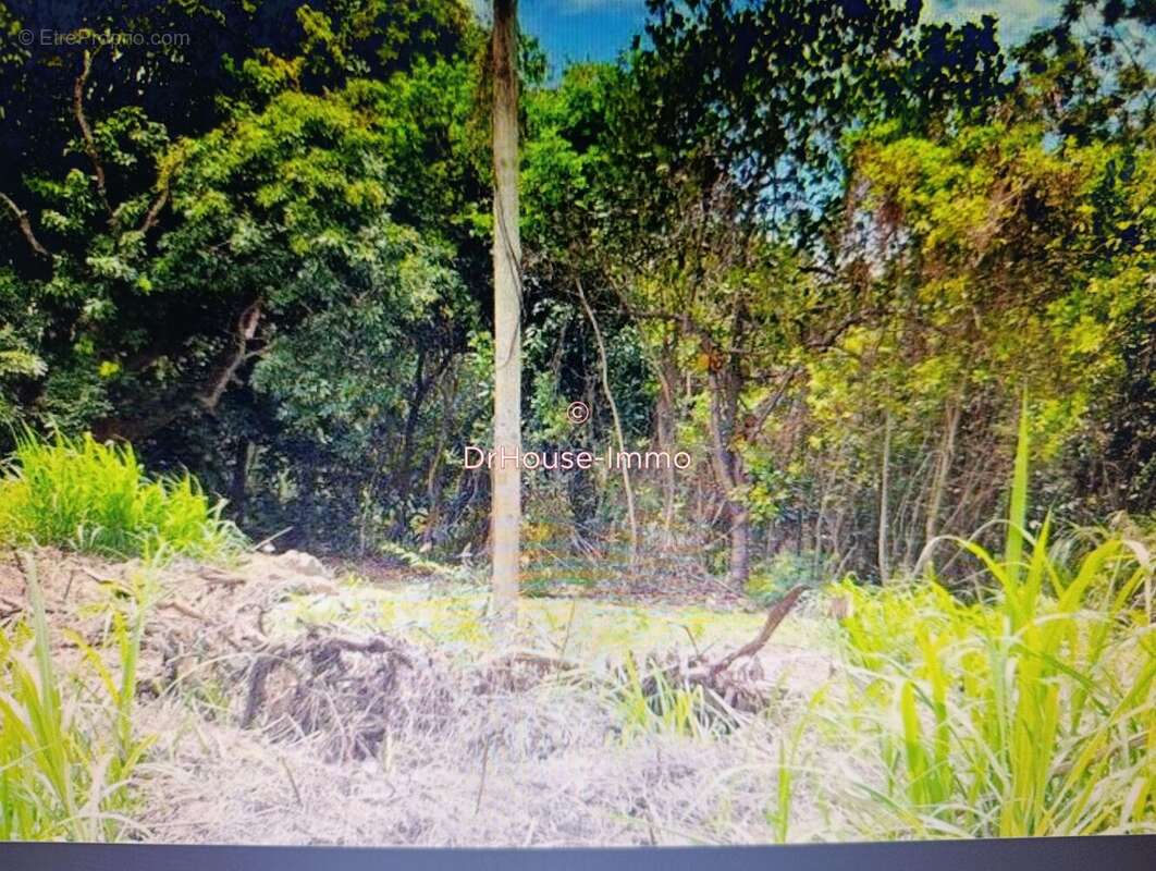 Terrain à LE TAMPON