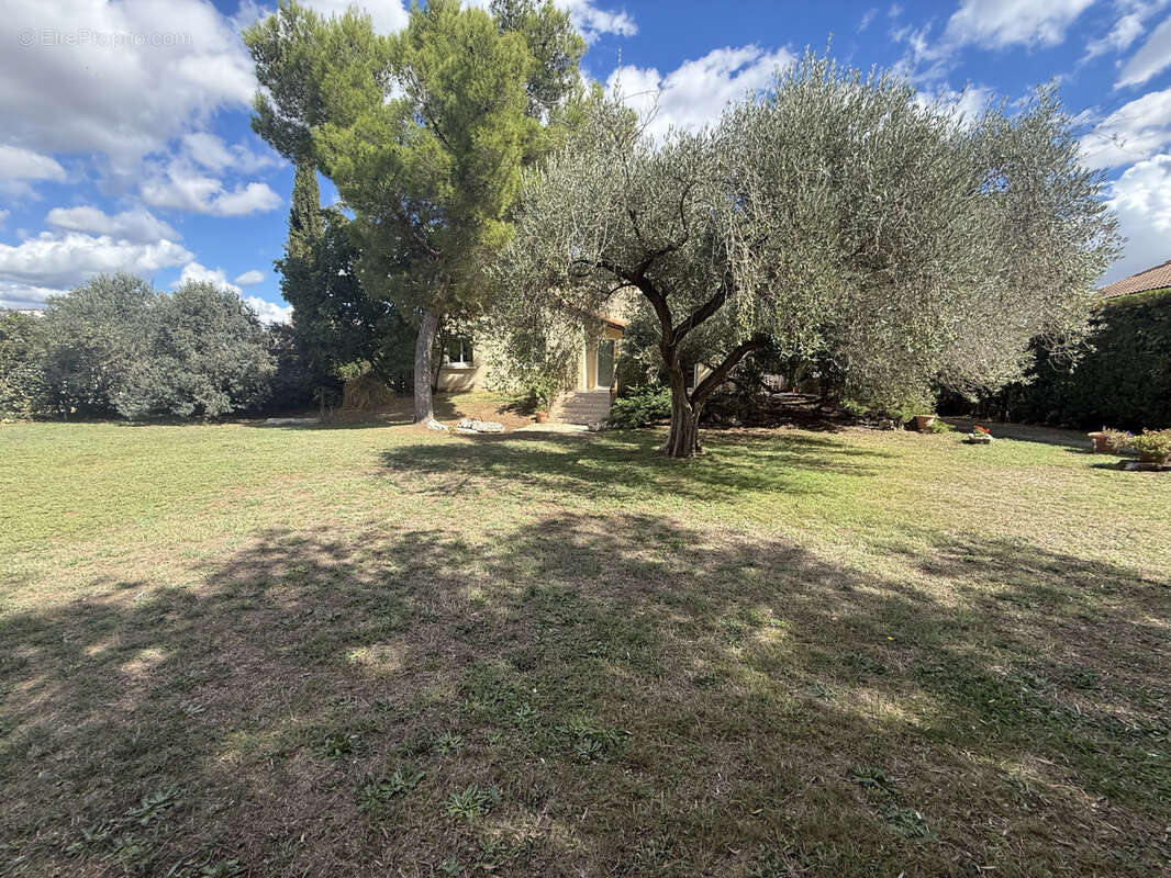 Maison à CAISSARGUES