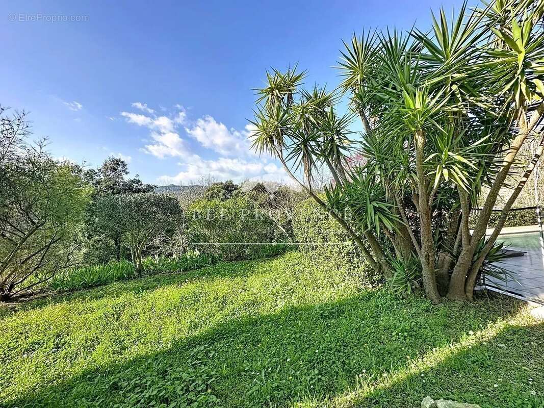 Maison à SOLLIES-TOUCAS