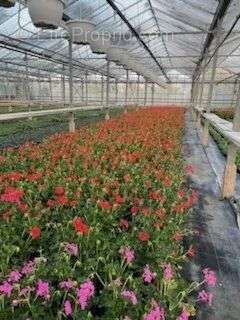 Commerce à RIBEMONT