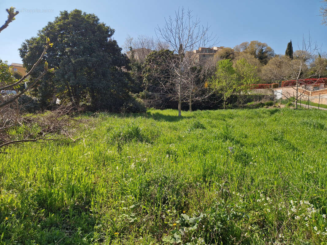 Terrain à FLAYOSC