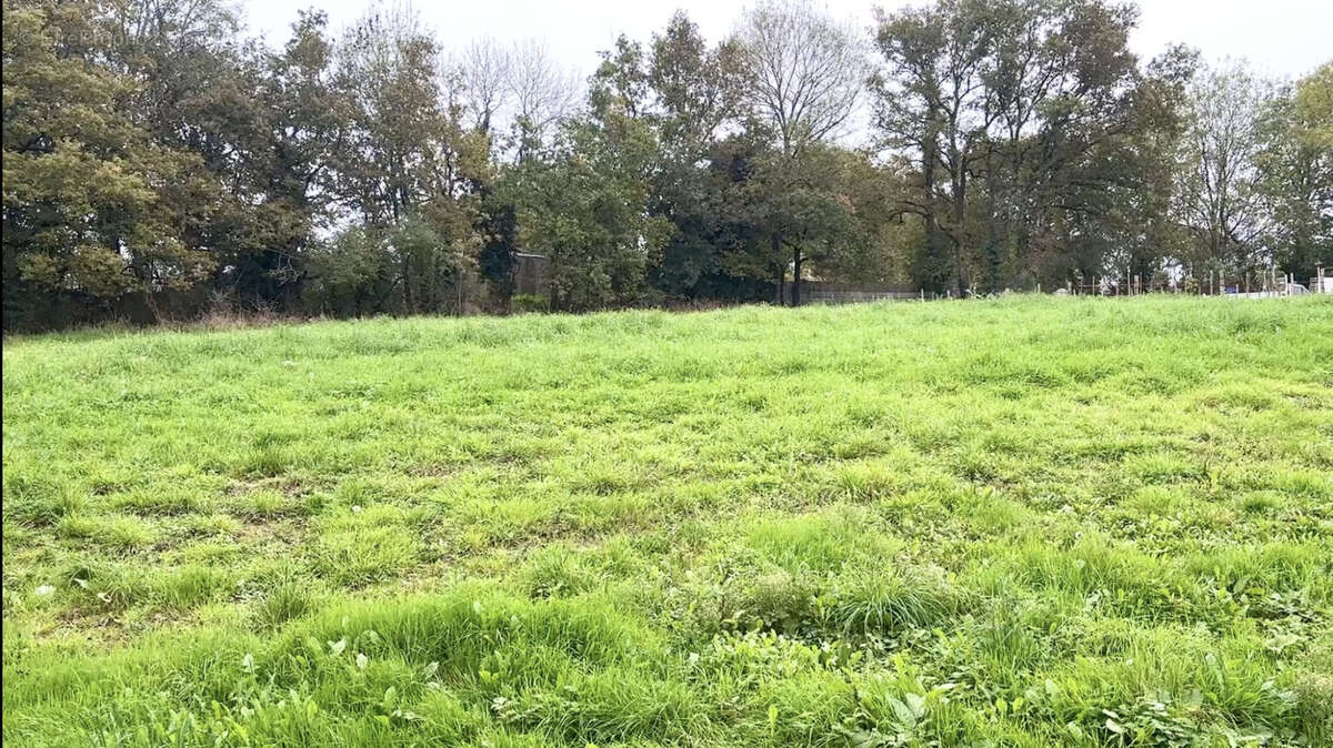 Terrain à LA ROCHE-SUR-YON