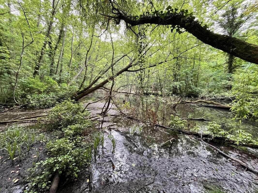 Terrain à CHEVREGNY